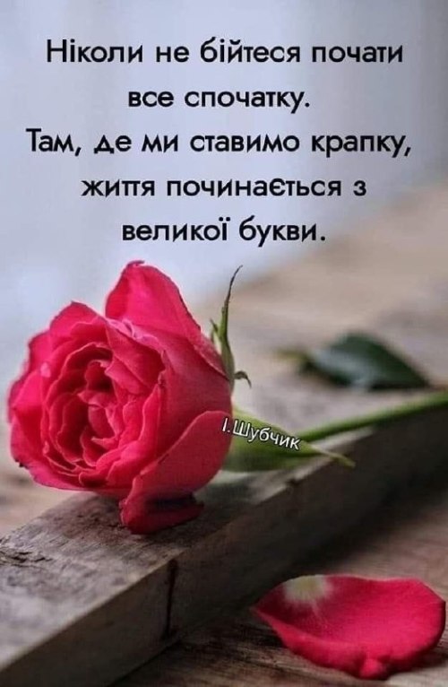 Мудрі слова