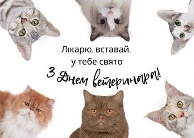 професійне свято, ветеринар