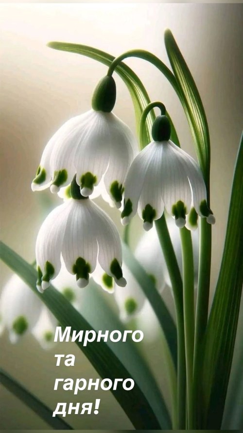 Гарного дня