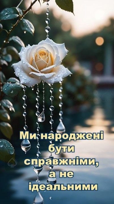 Мудрі слова