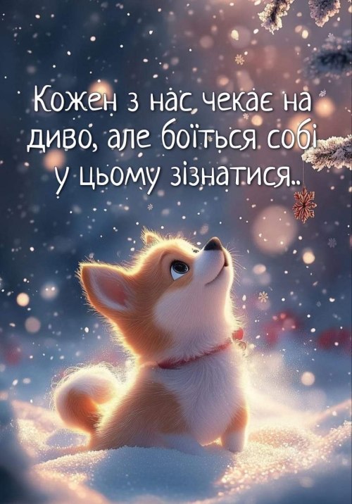 Мудрі слова