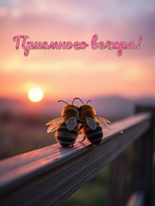 Гарного вечора