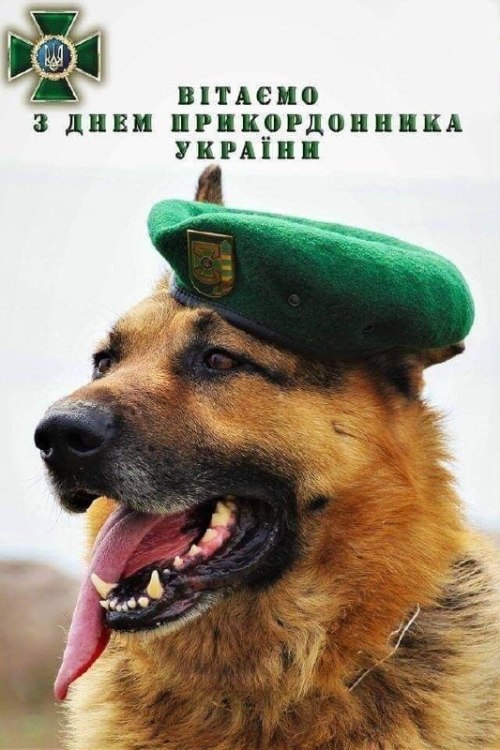 професійне свято, прикордонник