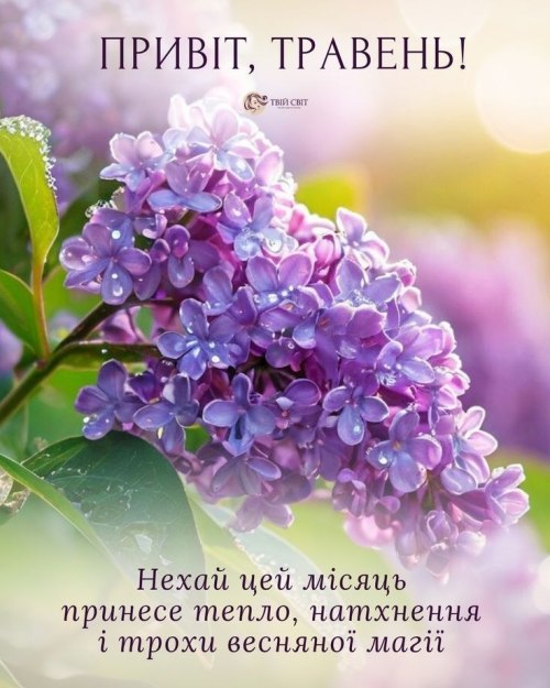 весна, травень, привіт