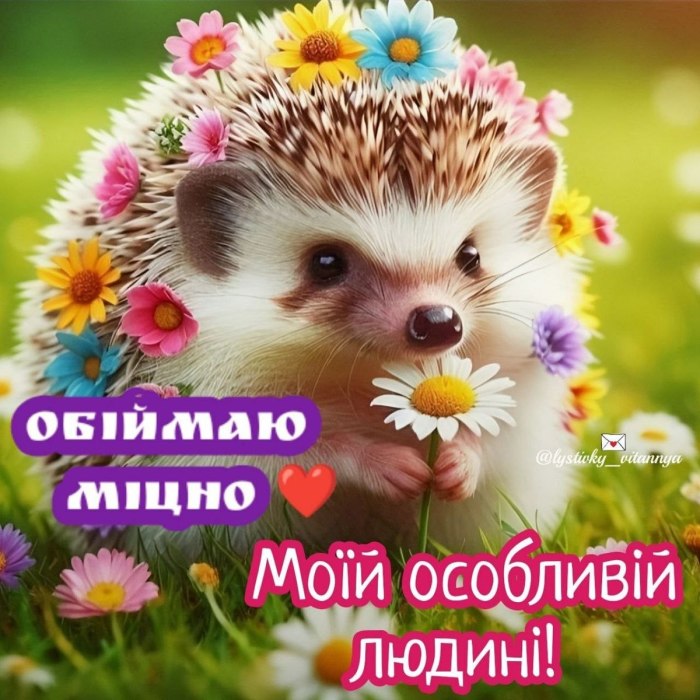 любов
