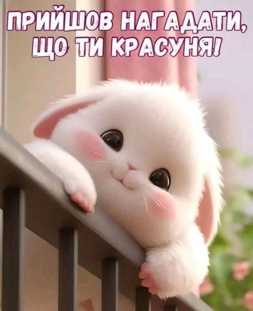 любов