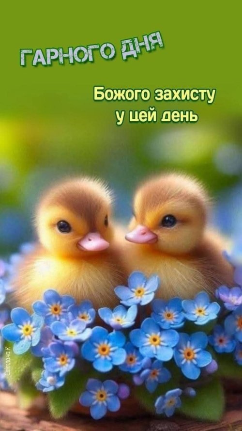 свята, свято, історія свята, З днем народження