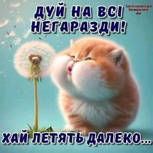 свята, свято, історія свята, З днем народження