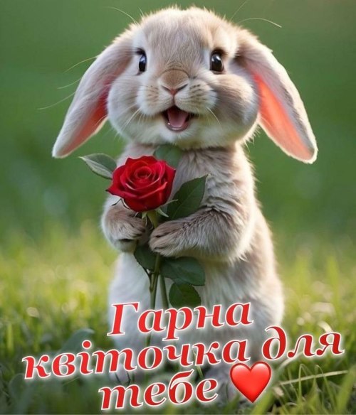 любов