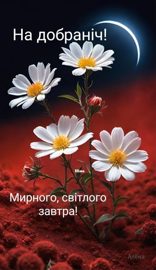 Добраніч