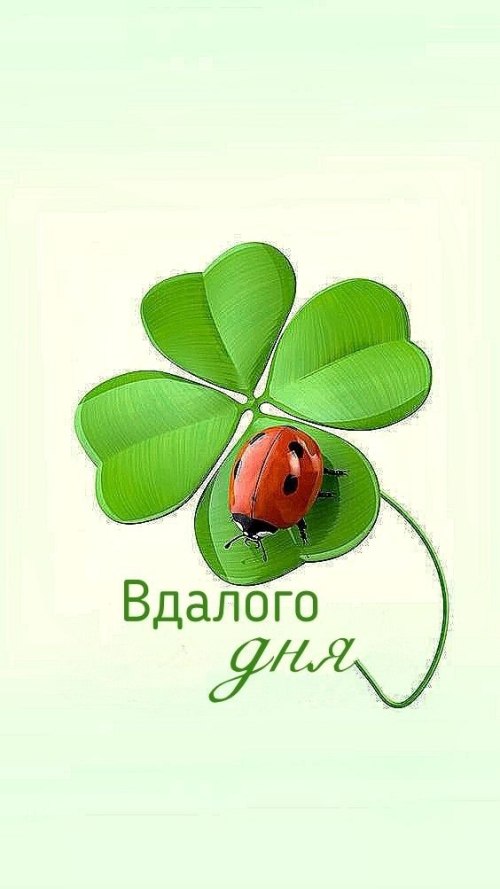 свята, свято, історія свята, З днем народження