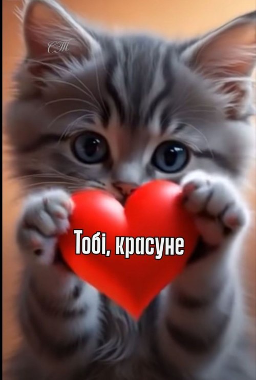 любов