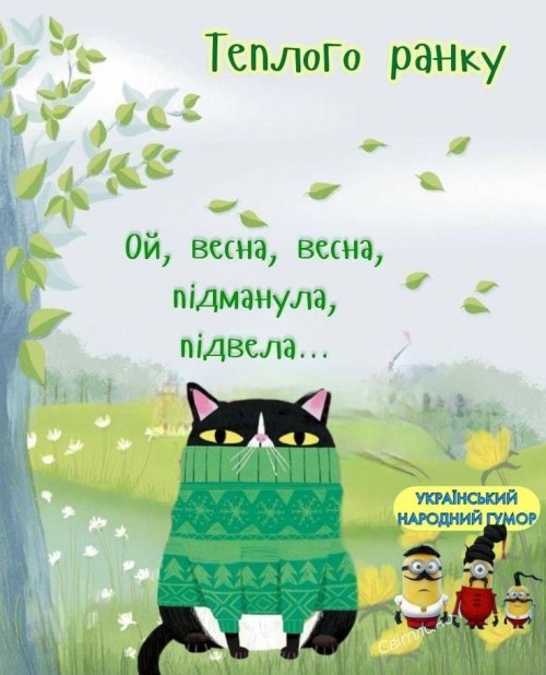 Доброго ранку