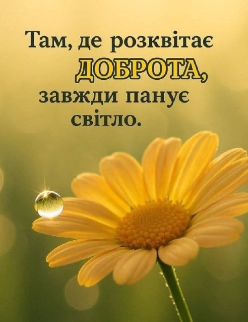 Мудрі слова