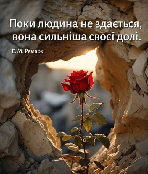Мудрі слова