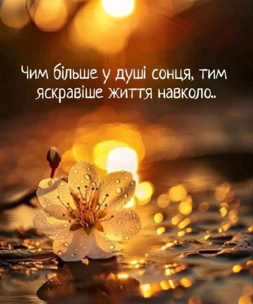 Мудрі слова