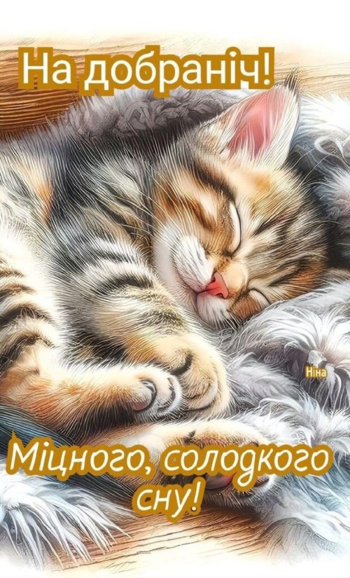 свята, свято, історія свята, З днем народження