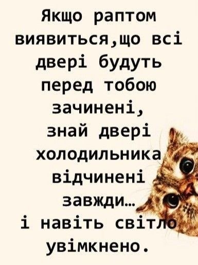 мудрий кіт, поради, гумор, мудрощі від кота