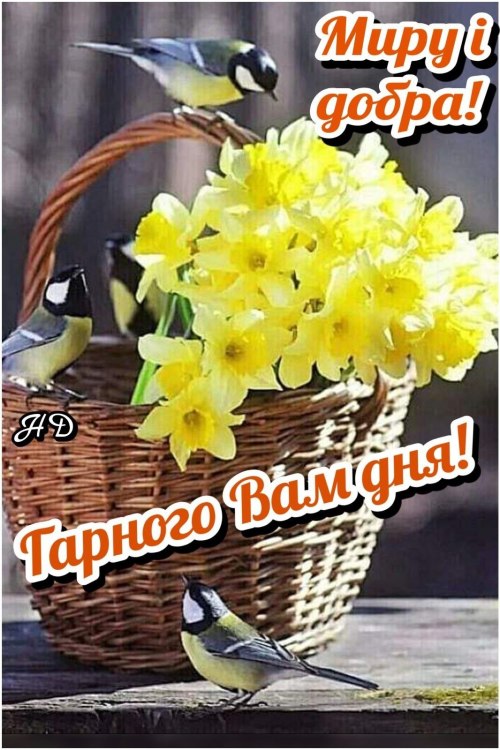 Гарного дня