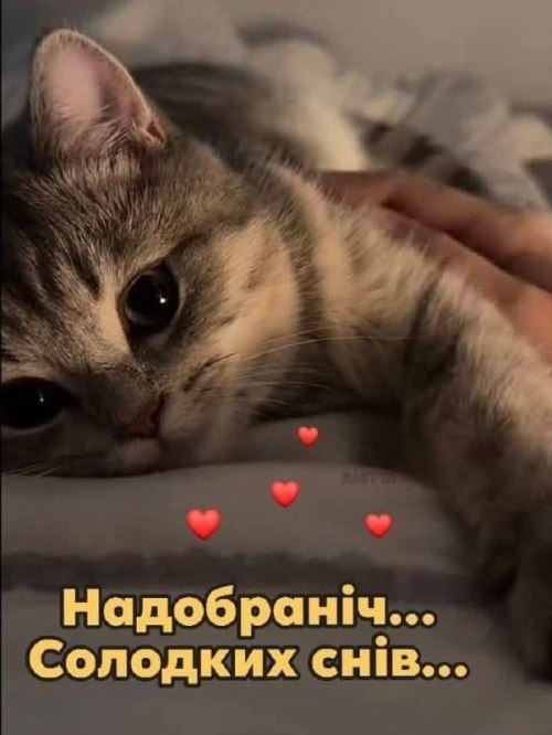 Добраніч