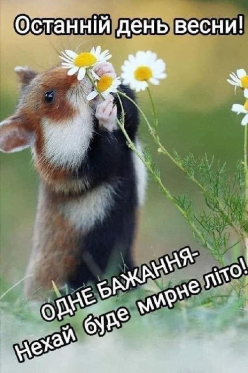 весна, листівки, травень