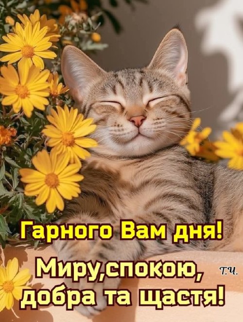 Гарного дня