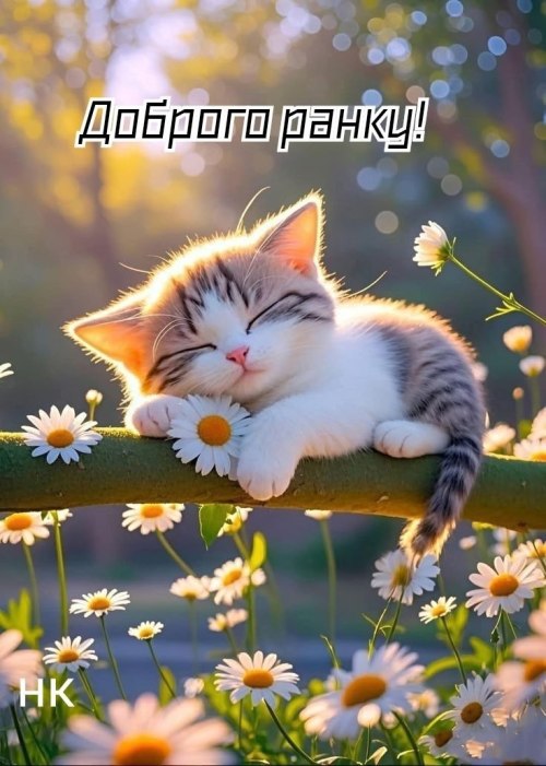 Доброго ранку