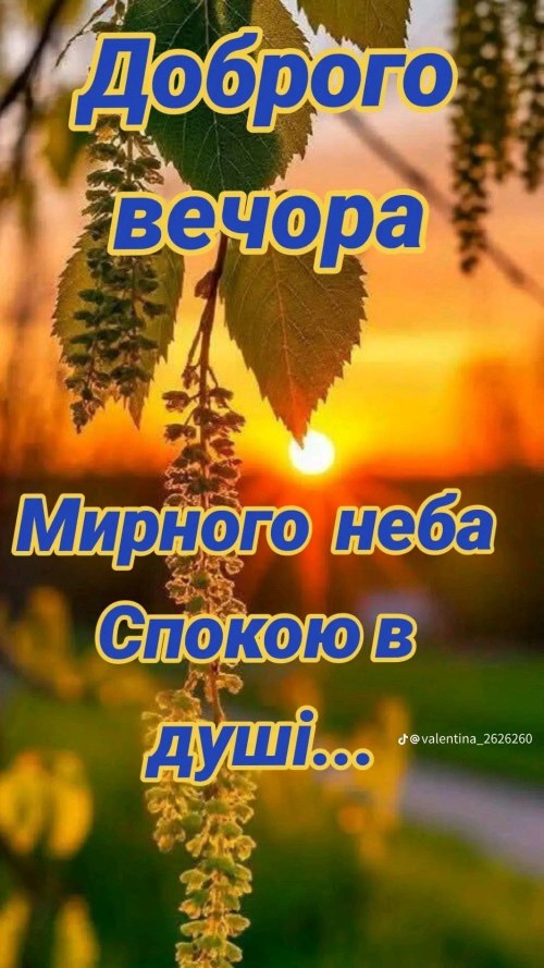 Гарного вечора