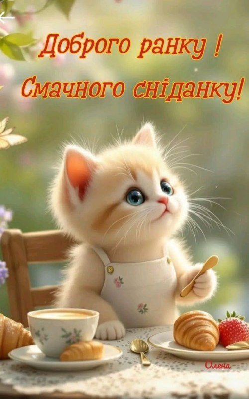 Доброго ранку