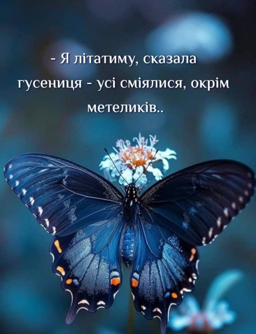 Мудрі слова