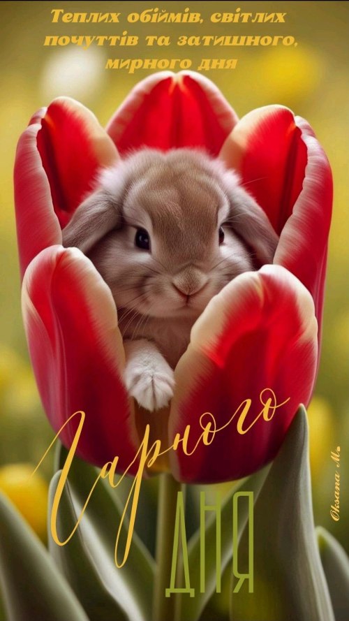 Гарного дня