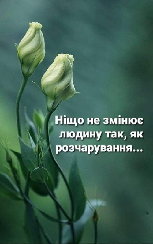 свята, свято, історія свята, З днем народження