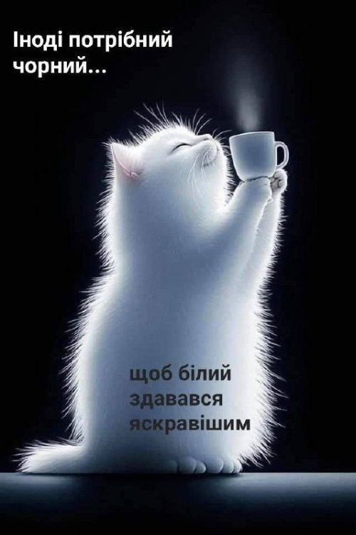 Мудрі слова