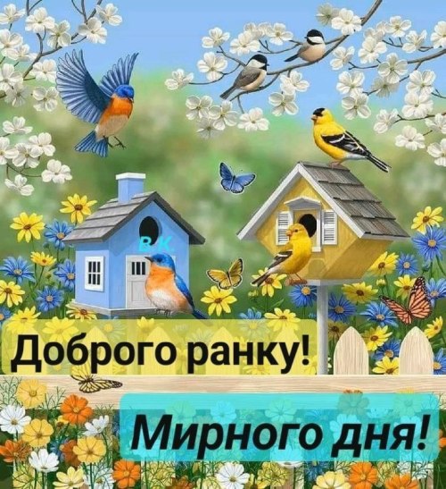 Доброго ранку
