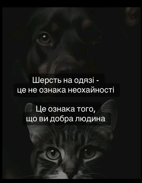 Мудрі слова