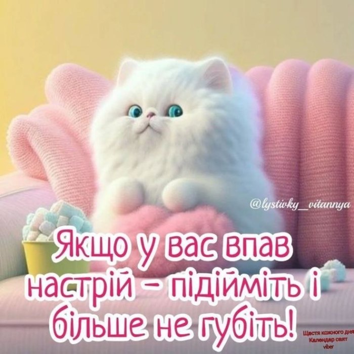 мудрий кіт, поради, мудрощі від кота