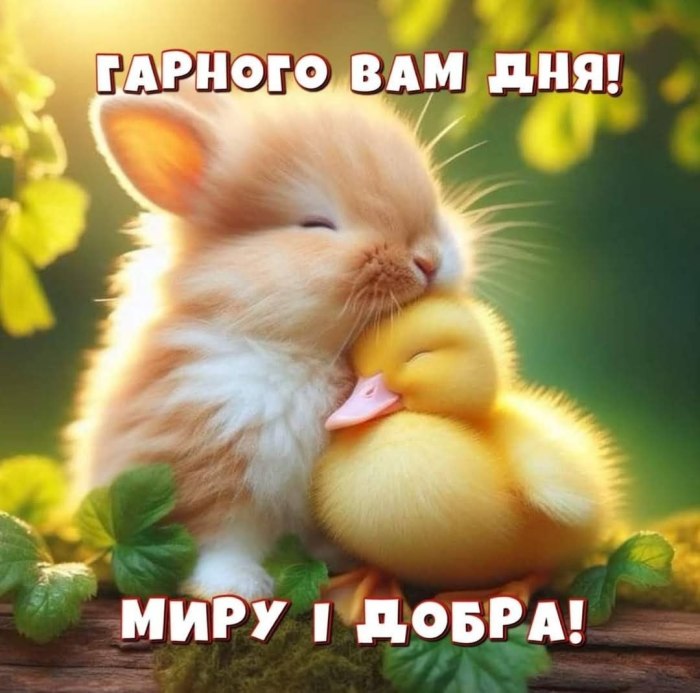 Гарного дня