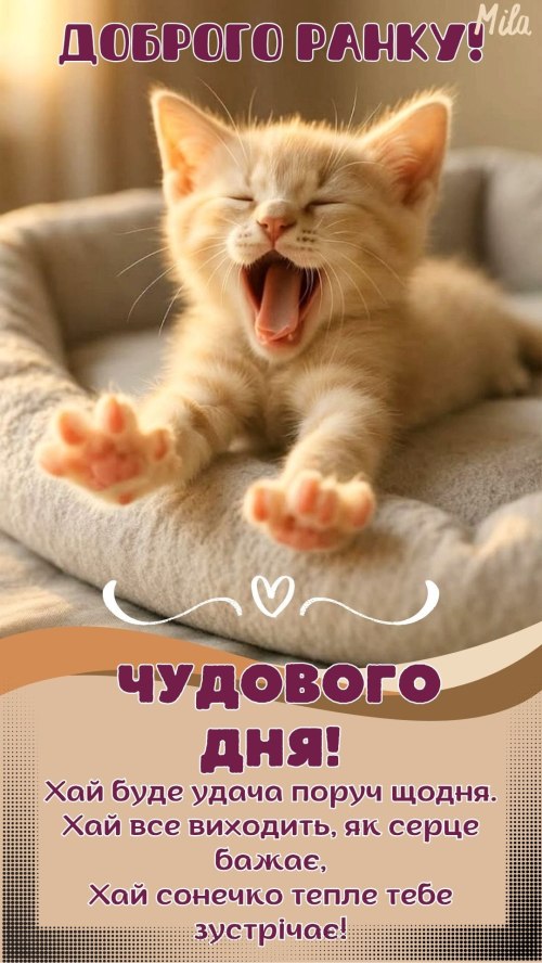 Доброго ранку