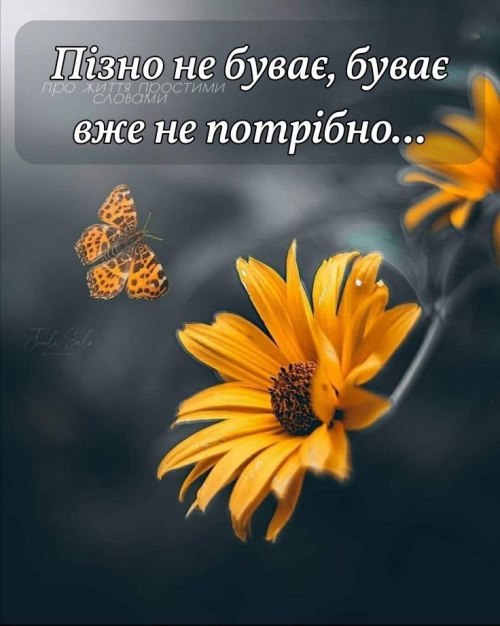 Мудрі слова