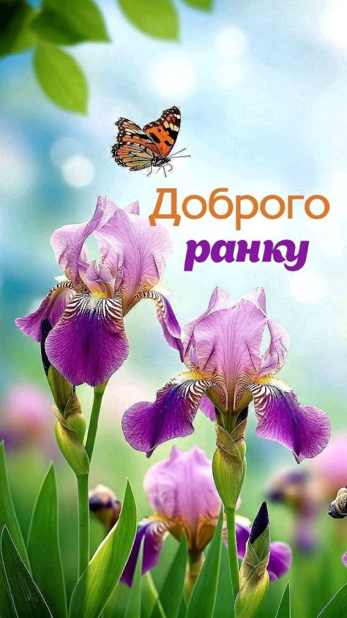 Доброго ранку