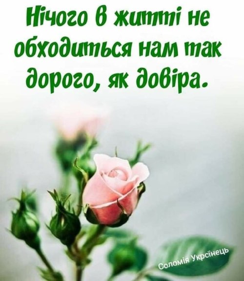 Мудрі слова