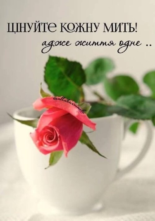 свята, свято, історія свята, З днем народження