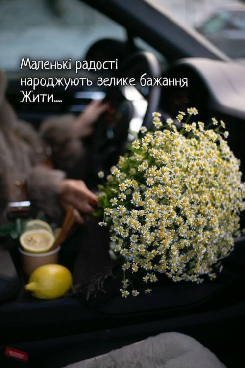 Мудрі слова