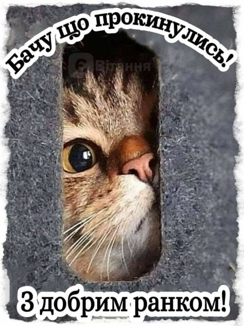 Доброго ранку