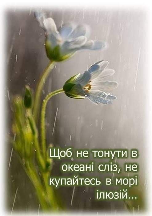 Мудрі слова