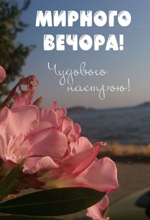 Гарного вечора