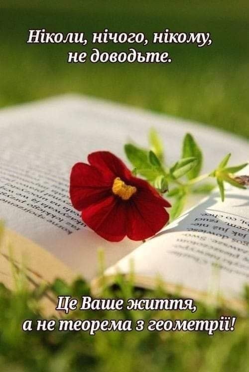 Мудрі слова