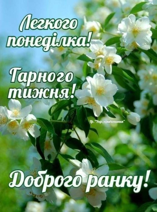 побажання, Гарного дня, понеділок