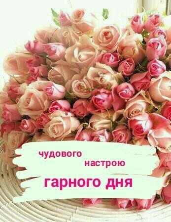 Гарного дня