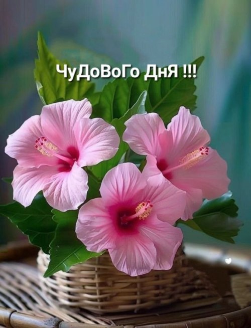 Гарного дня
